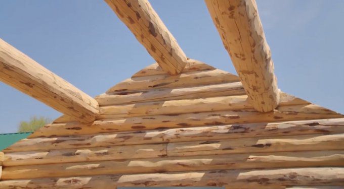 Cabane en rondins de bois    