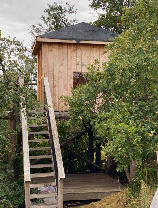 Cabane sur pilotis￼